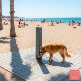 Font urbana canina Hèrcules FSM-01